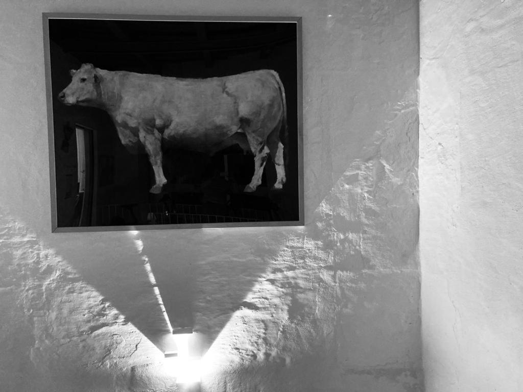 Hotel Hevresac Singular & Small マオー エクステリア 写真